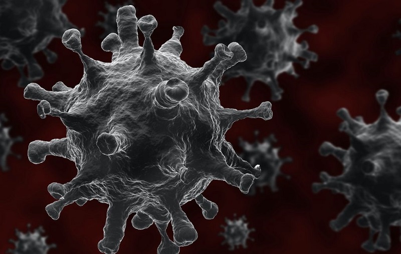 Le-talon-dAchille-des-coronavirus-decrit-par-des-scientifiques