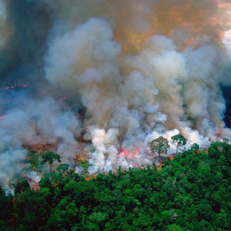 Les-eveques-dAmerique-Latine-crient-au-secours-face-aux-incendies-en-Amazonie
