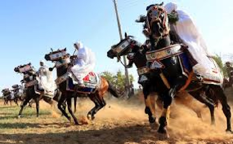 Libye-un-festival-equestre-a-Tripoli-pour-celebrer-le-cessez-le-feu
