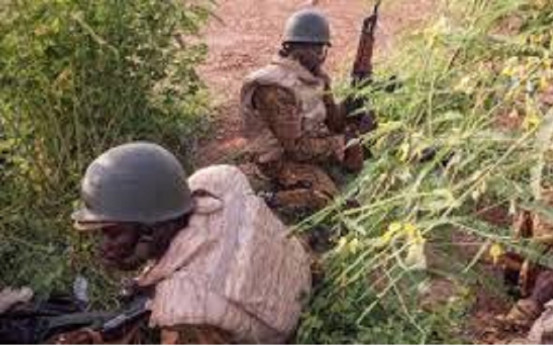 Lutte-contre-le-terrorisme-au-Sahel-lUemoa-projette-de-mobiliser-des-troupes-dans-les-zones-frontalieres