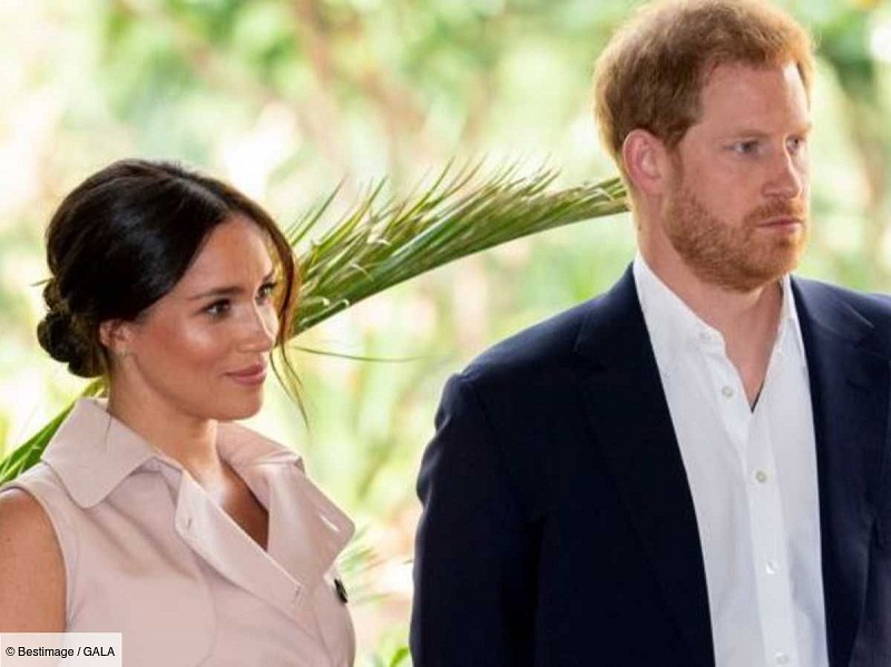 Meghan-Markle-et-Harry-les-Sussex-nont-ils-pas-les-moyens-de-leurs-ambitions