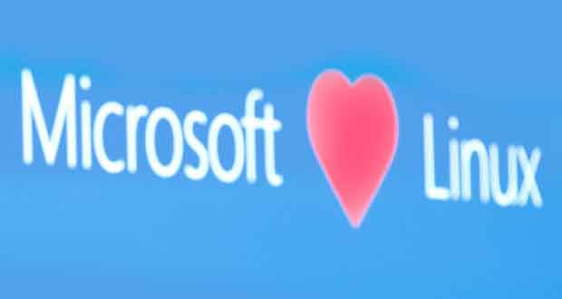 MicrosoftLoveLinux