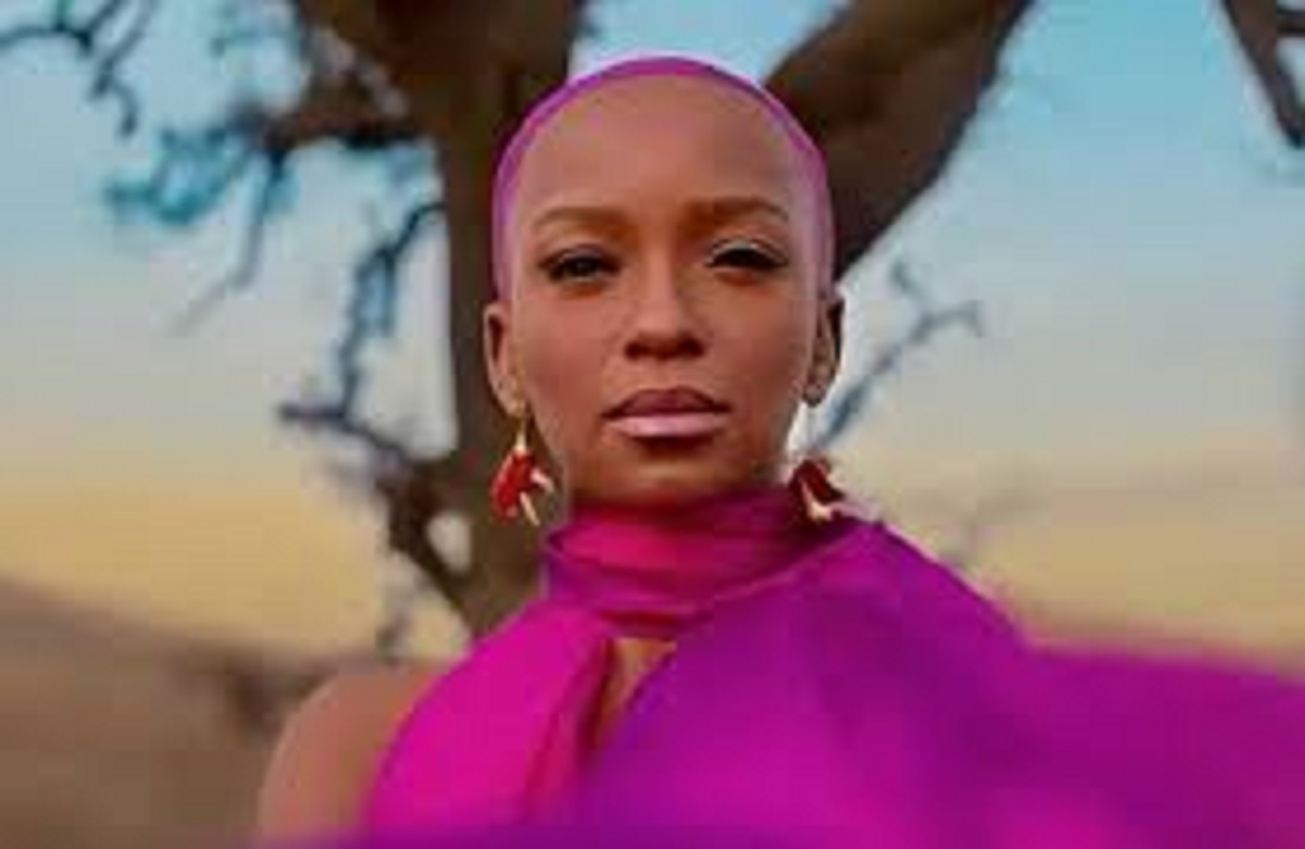 Nandi-Madida-linfluenceuse-saffiche-a-moitie-nue-photo