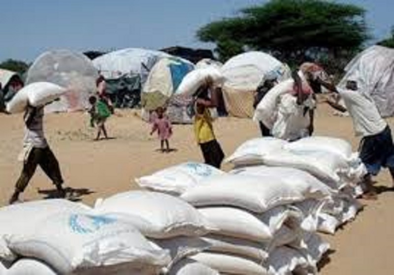 Niger-plus-de-20-morts-dans-une-bousculade-lors-dune-operation-de-distribution-de-vivres-a-des-refugies