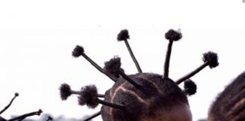 Nigeria-un-media-qui-qualifie-une-coiffure-afro-de-cheveux-Coronavirus-blame
