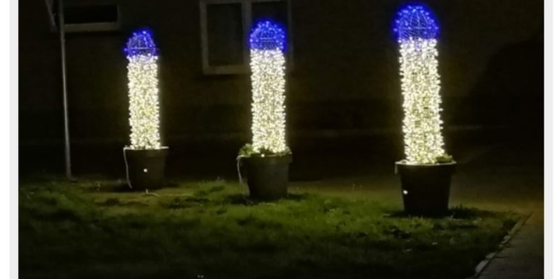 Noel-une-ville-utilise-des-penis-lumineux-comme-motifs-de-decoration-photo-2