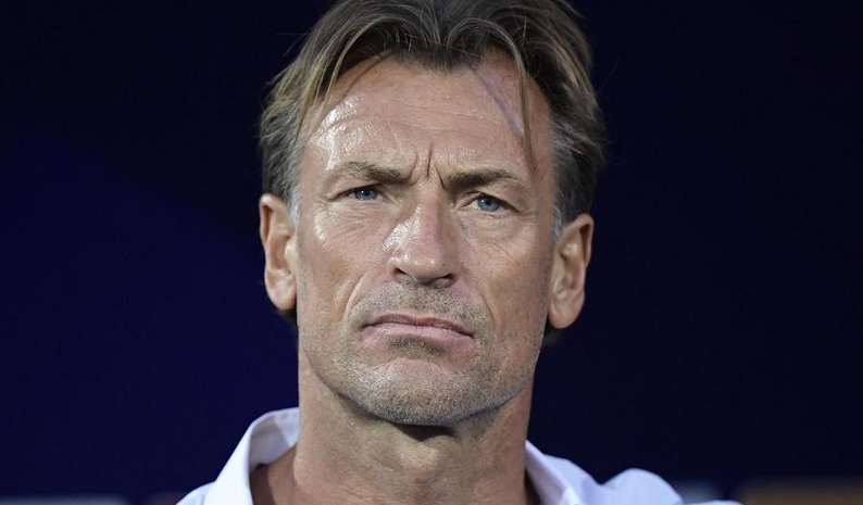Officiel-Herve-Renard-quitte-lequipe-du-Maroc