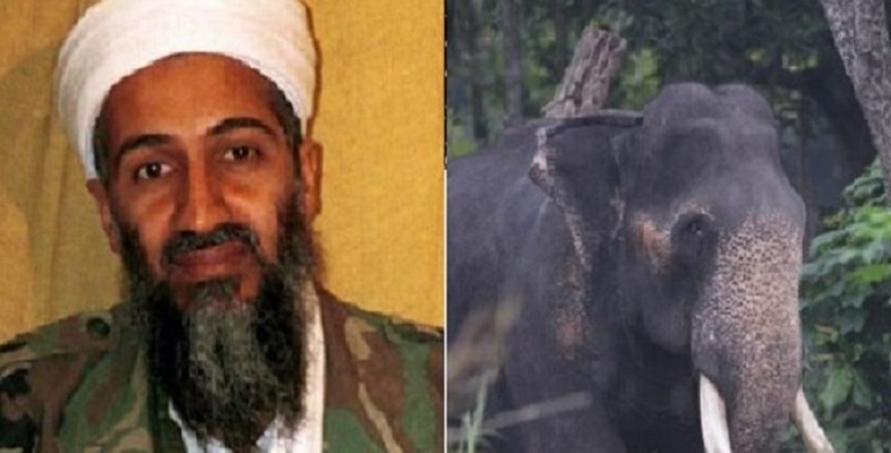 Oussama-Ben-Laden-fait-5-morts-en-Inde