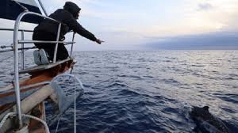 Parti-pour-un-tour-du-monde-en-bateau-ce-couple-ignorait-tout-du-coronavirus