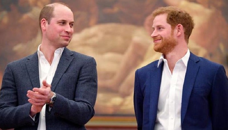 Pourquoi-le-prince-William-a-t-il-desapprouve-lindependance-du-prince-Harry-des-le-debut