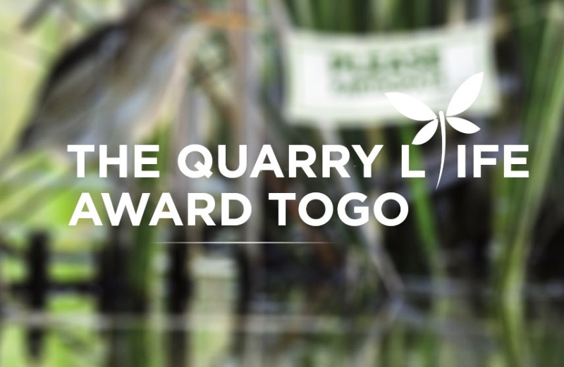 Quarry-Life-Award-lUniversite-de-Lome-championne-de-promotion-de-la-biodiversite-dans-les-carrieres-au-Togo