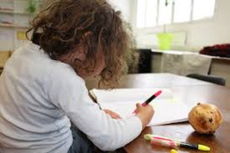 Sans-programme-sans-professeur-une-ecole-dun-nouveau-genre-ouvert-en-France