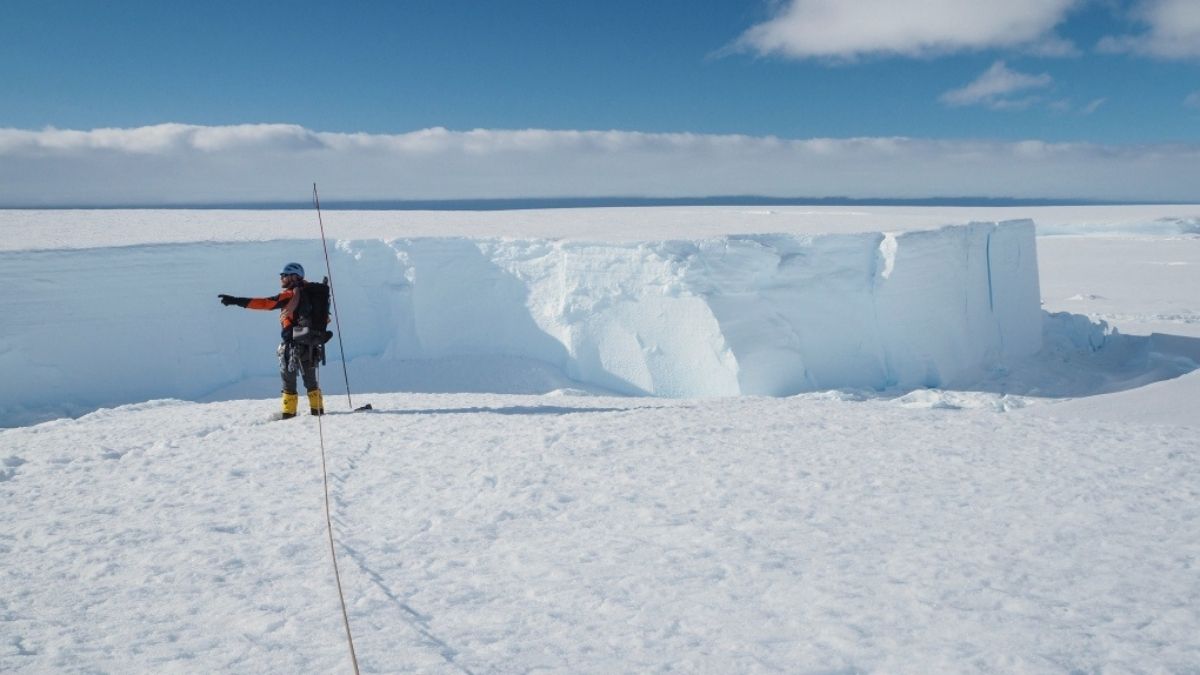 Seul-continent-jusqualors-epargne-lAntarctique-connait-ses-premiers-cas-de-coronavirus