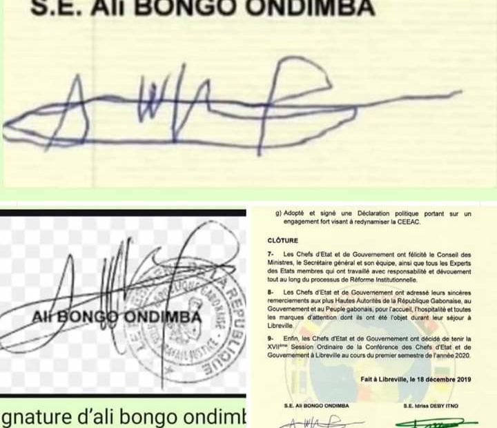 Signature-Bongo