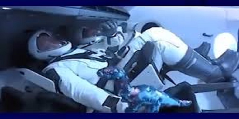 SpaceX-voici-pourquoi-les-astronautes-ont-emporte-un-dinosaure-en-peluche-a-bord-video