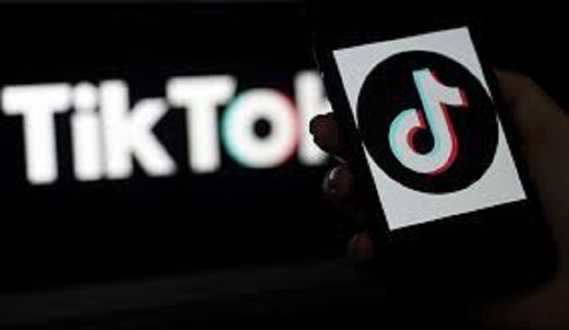 TikTok-se-lie-avec-UnitedMasters-une-chance-en-or-pour-les-petits-artistes