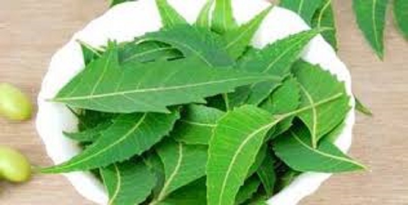 Togo-Covid-19-des-recherches-a-base-de-plantes-en-phase-de-test