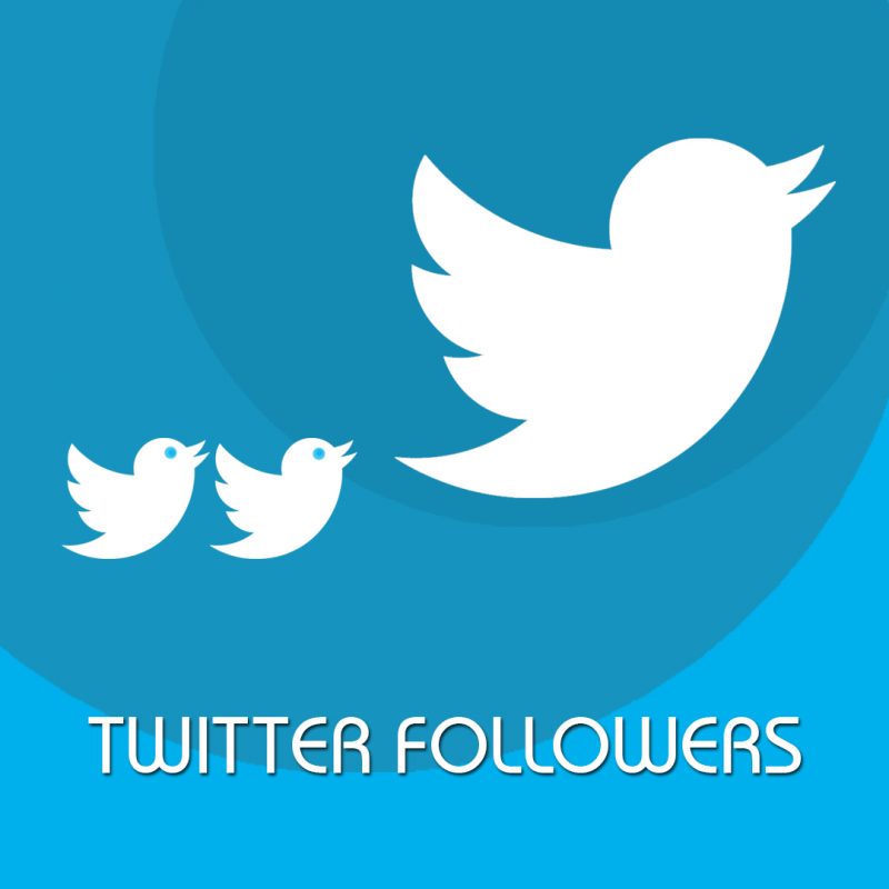 Twitter-Followers-e1569003713231