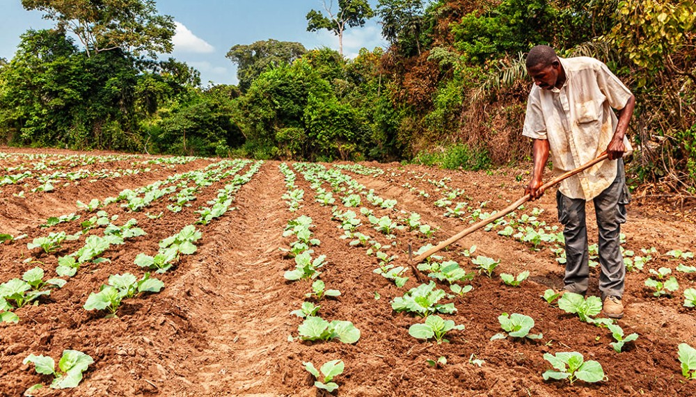 Un-franc-succes-pour-lAgri-PME