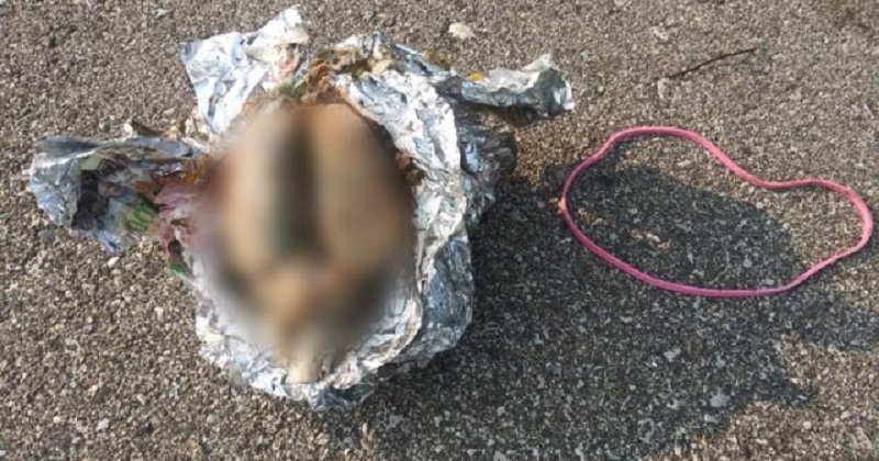 Un-homme-trouve-un-cerveau-dans-du-papier-aluminium-en-se-promenant-sur-la-plage