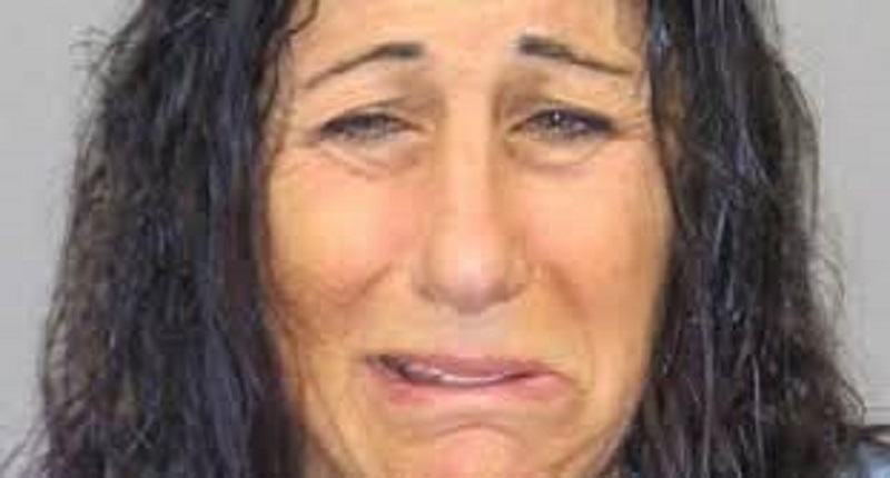 Une-femme-de-51-ans-arretee-pour-avoir-fait-caca-au-moins-8-fois-dans-le-stationnement-dun-magasin