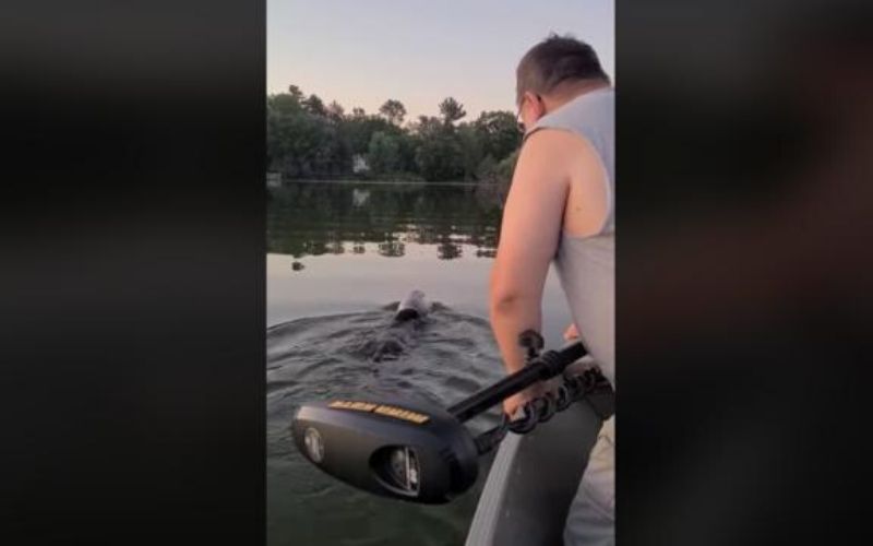 Video-Ils-sauvent-un-ourson-qui-avait-la-tete-coincee-dans-un-bidon