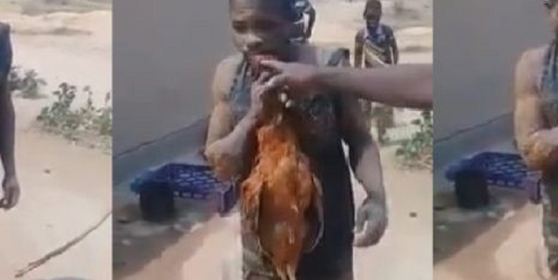 Video-Un-voleur-de-poule-force-de-manger-du-poulet-cru-avec-ses-plumes-comme-punition