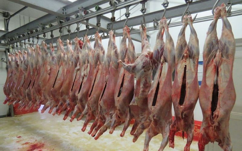 abattoirs