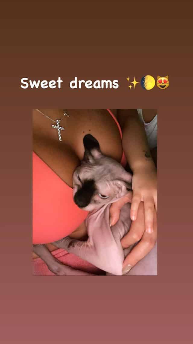 georgina-rodriguez-son-petit-chat-fait-craquer-la-toile1