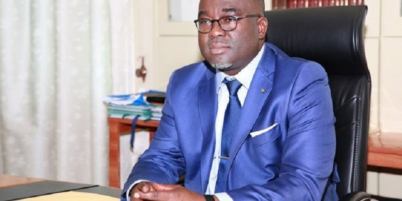 Togo Les Grands Chantiers Du Nouveau Ministre De L Agriculture Antoine Lekpa Gbegbeni L Frii