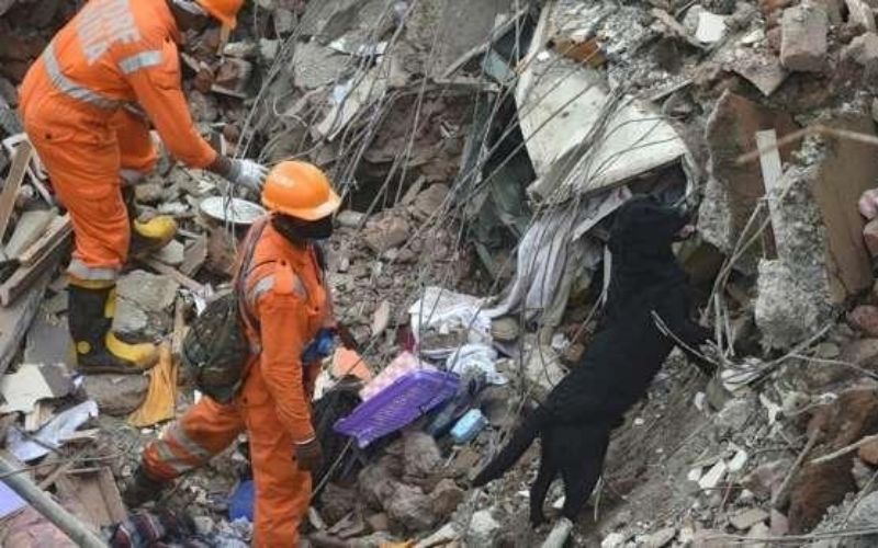inde-effondrement-dun-immeuble-16-morts