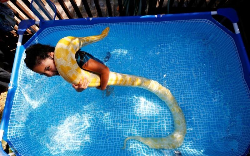 israel-une-fille-de-8-ans-se-baigne-joyeusement-avec-un-python-de-2-metres