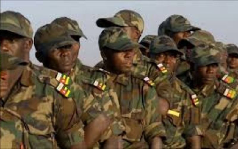 terrorisme-en-afrique-de-louest-des-militaires-togolais-formes-dans-le-cadre-de-la-cooperation-francaise