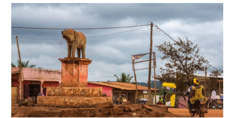 Crédit Photo : Journal du Cameroun