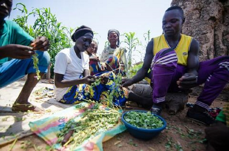 Covid-19 : 12,1 millions de Nigérians souffriront de la faim en décembre ; selon l'UNICEF, le PAM et la FOA