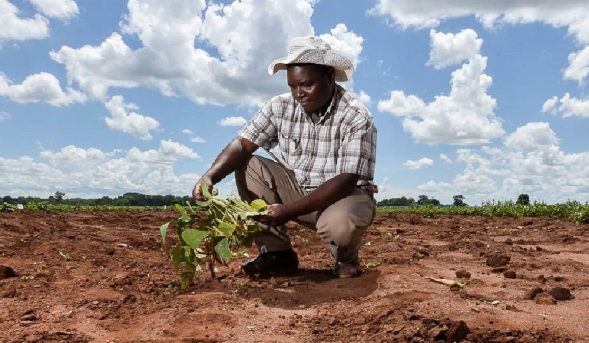 Agriculture-Afrique-Climat-e1516631000580