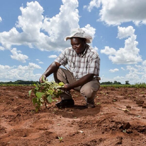 Agriculture-Afrique-Climat-e1516631000580