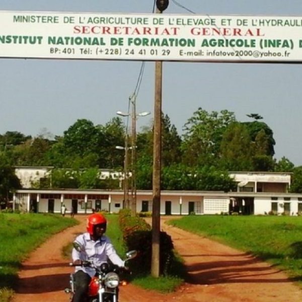  l’Institut National de Formation Agricole (INFA) de Tové