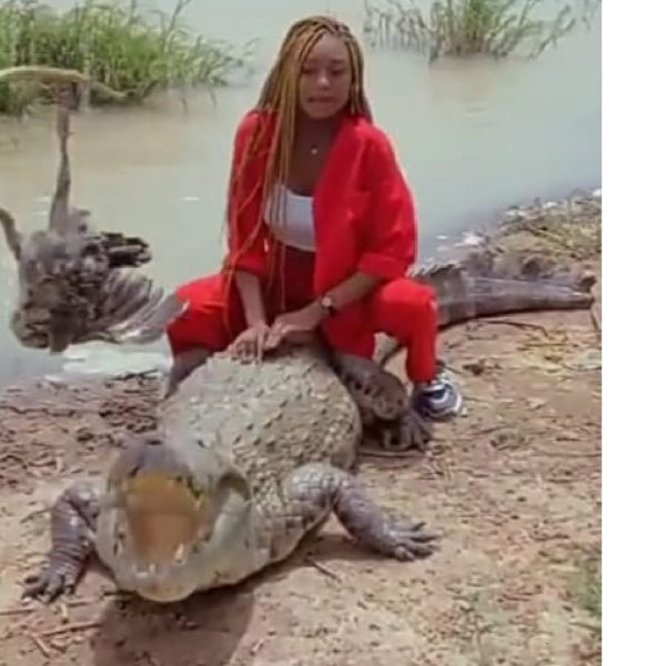 vidéo jeune femme crocodile