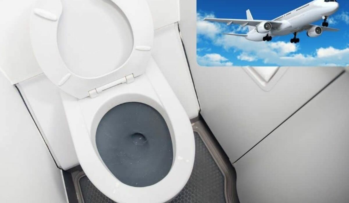 Avion où va le contenu des toilettes quand on tire la chasse