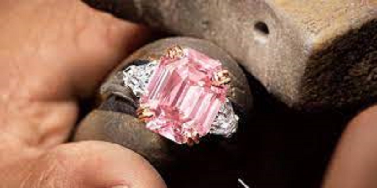 Bague rose