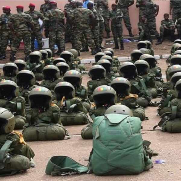 Guinée 79% des candidats au recrutement dans l'armée ont de faux diplômes