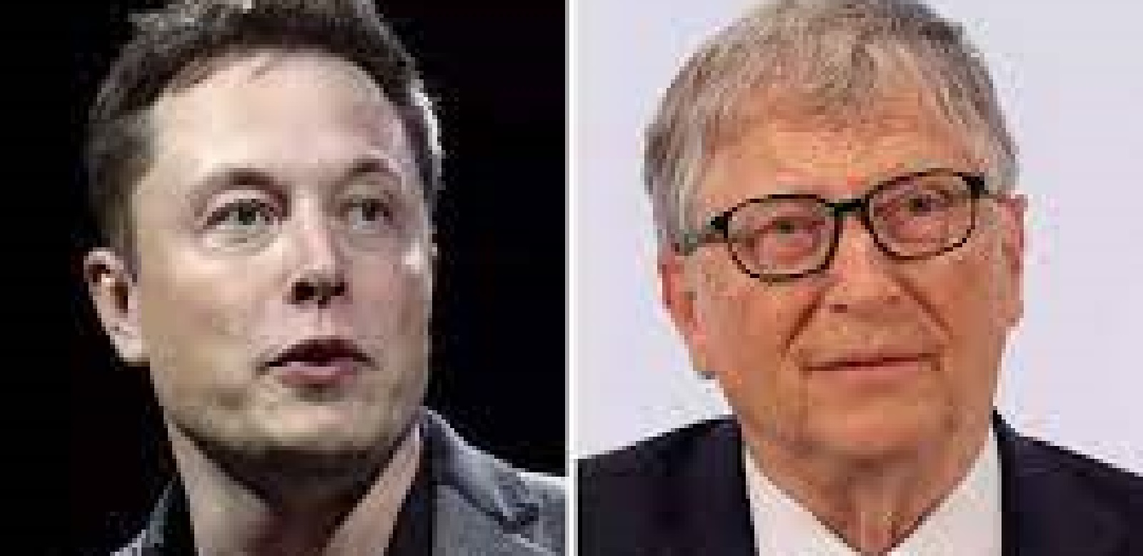 Bill Gates Elon Musk