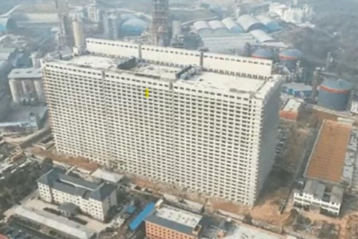 Chine  un hôtel de 26 étages construit pour 650 mille cochons (vidéo)