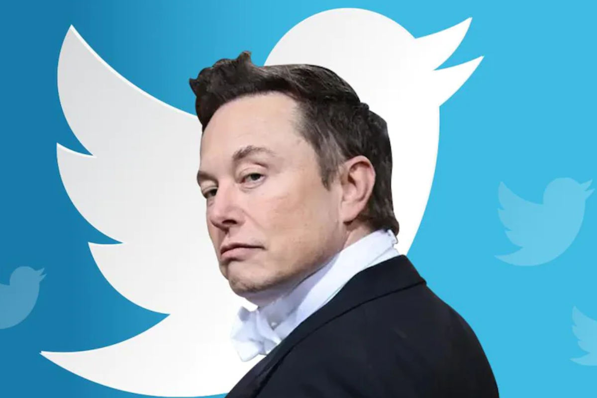 Twitter : Elon Musk nomme un chien comme PDG de la boite (photos)