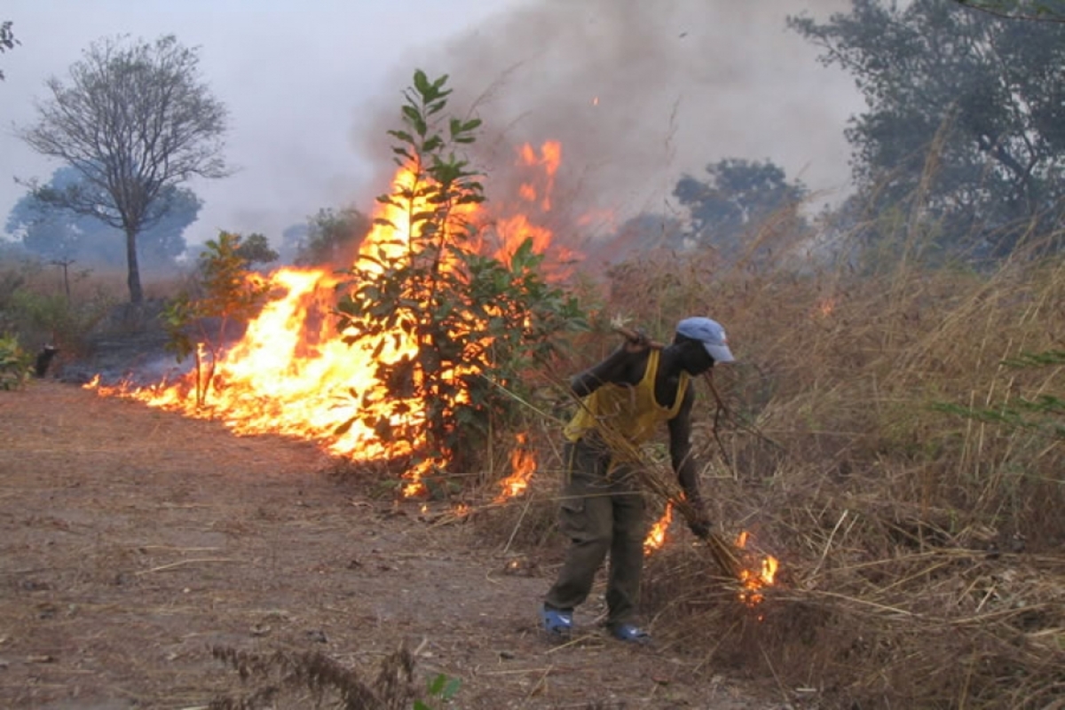 Bénin : un paysan meurt calciné dans un feu de brousse à Houéyogbé