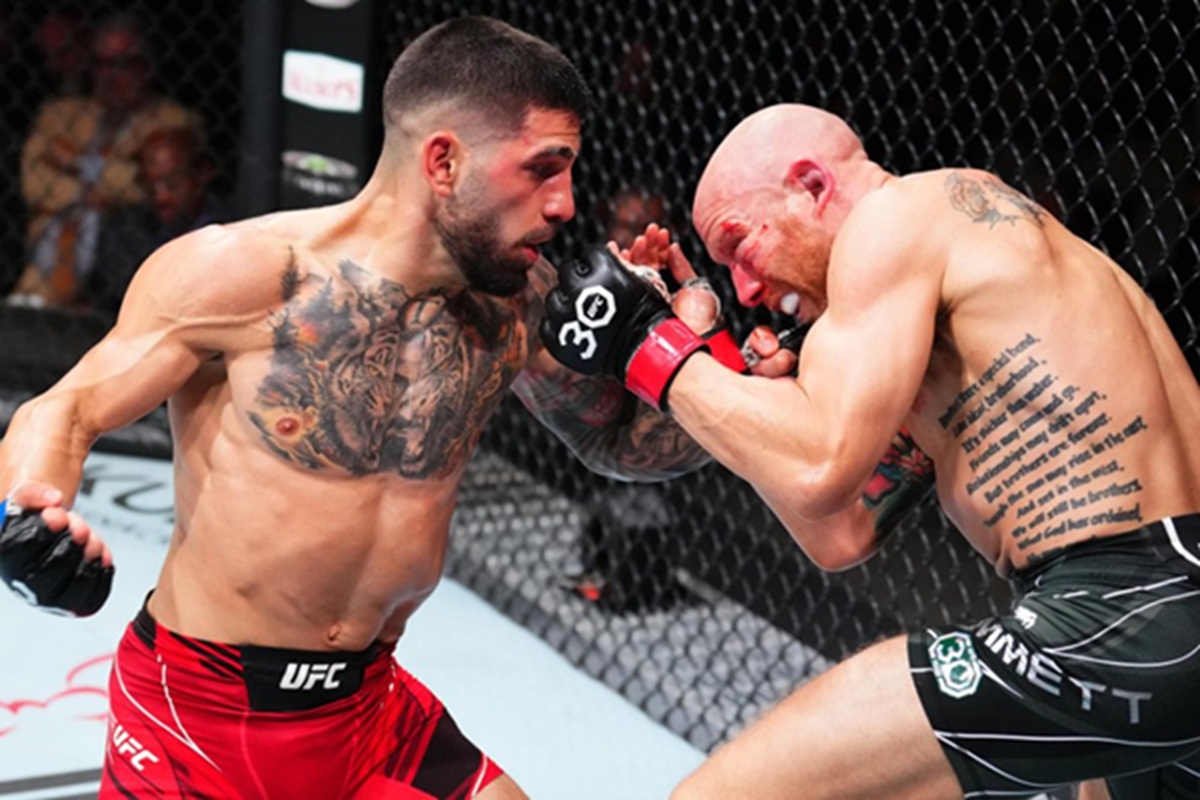 Comment parier sur l’UFC guide complet pour débuter intelligemment