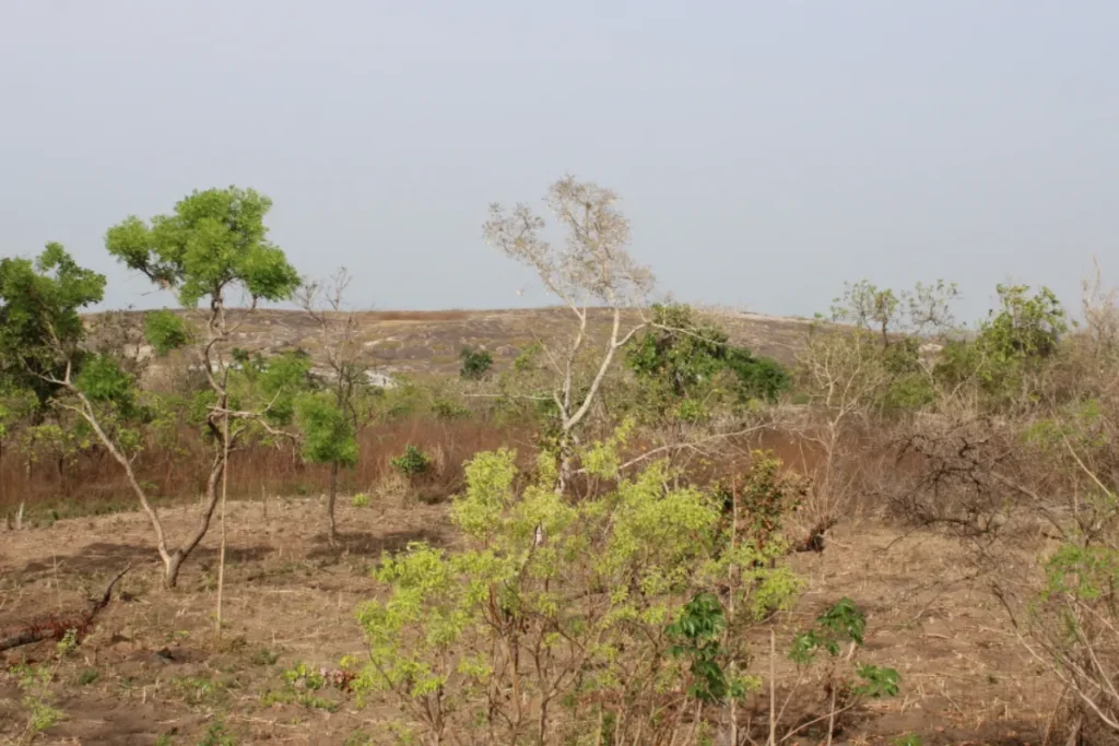 Burkina Faso prix terrains