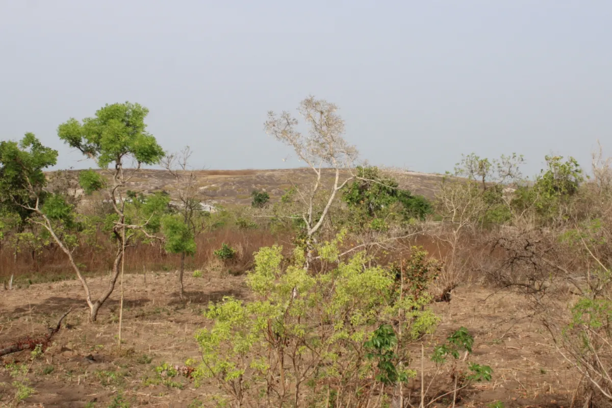 Burkina Faso prix terrains