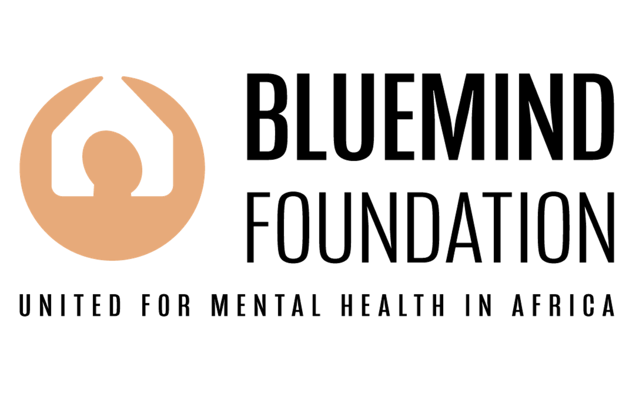 Togo Bluemind Foundation recrute un⋅e Comptable (07 janvier 2026)